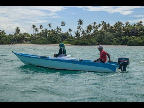 ޑިންގީގައި ސްކޫލަށް: މިއީ އަޒުމް ވަރުގަދަ ޓީޗަރެއް!