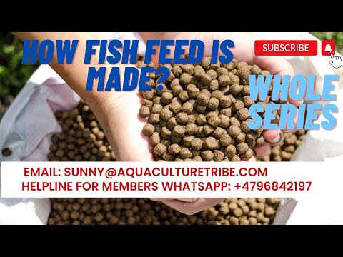 How to make fish feed ? Part 1