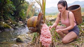 Download lagu Harvesting 12kg of Giant Snail Eggs in the Rice Field - Shocking the Market | Thương - Bushcraft mp3