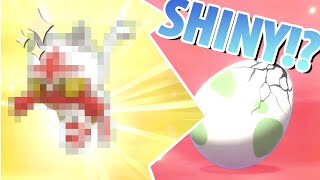 Pokemon: Sword | Reaction - Shiny Litten!