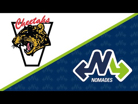 RSEQ Basketball féminin D2 🏀 Ahuntsic @ Montmorency [2/15/2025]