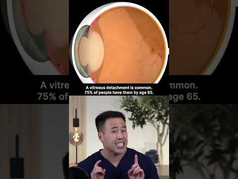 Flashes, Floaters? A Retinal Detachment is an Eye Emergency!