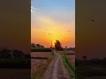Beautiful Village View Reels Viral Photography Today Video Viralshorts Village Villagelife