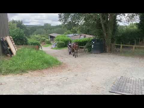 Video 7