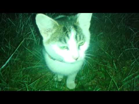 Pali się ognisko ...   ognisko Łukasz 503