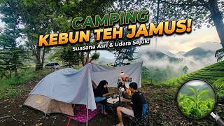 Download lagu Camping keluarga di AGROWISATA KEBUN TEH JAMUS | Ngawi mp3