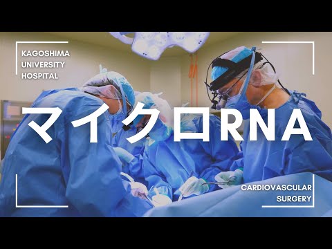 医学科 マイクロRNA