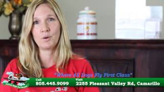 preview picture of video 'Camarillo Dog Grooming - (805) 445-9099 - Flying High Pet Resort in Ventura County'