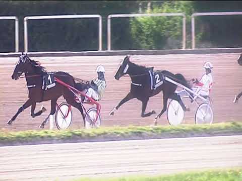 Trotto 07/04/2019 - 5ª corsa