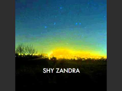 Black Bricks - Shy Zandra