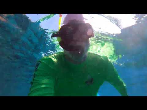 Snorkeling in St. Kitts with my kids. We got to see turtles, sting rays, and jellyfish. 2/22/23