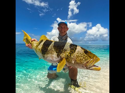 Seychelles Paradise - Farquhar Atoll Guide's POV