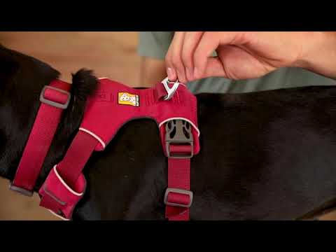 Video Review of the RuffWear Front Range Dog Harness
