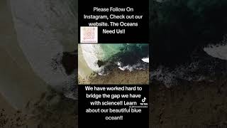 Beautiful Life.   #headland #beautiful #ocean #waves #life #water #drone #fyp #fypシ #fypシ゚viral