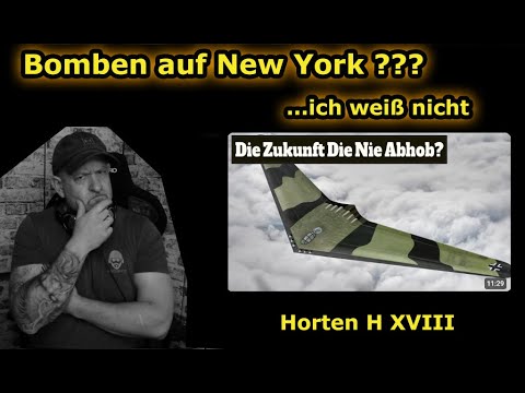 Bacuffz reagiert auf Amerika Bomber - Horten 18 - / was stimmt wirklich?