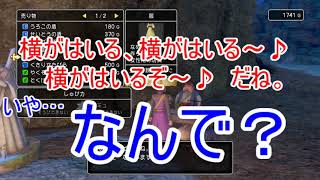 【W実況】いや…なんで？『ドラゴンクエストⅪ S』21ページ目