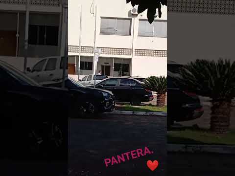 A UOL Brasil! Estrutura Interna da Prefeitura de Morrinhos Goiás 🇧🇷.  @mariadelourdesdasilva412