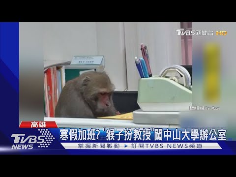 猴子辦公