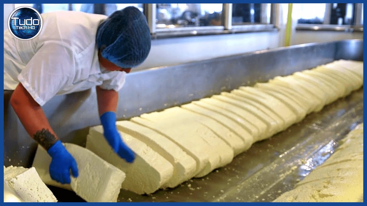Como é feito o Queijo - Incrível Processo de Fabricação de Queijo 🧀 Ciclo de Produção de Queijo