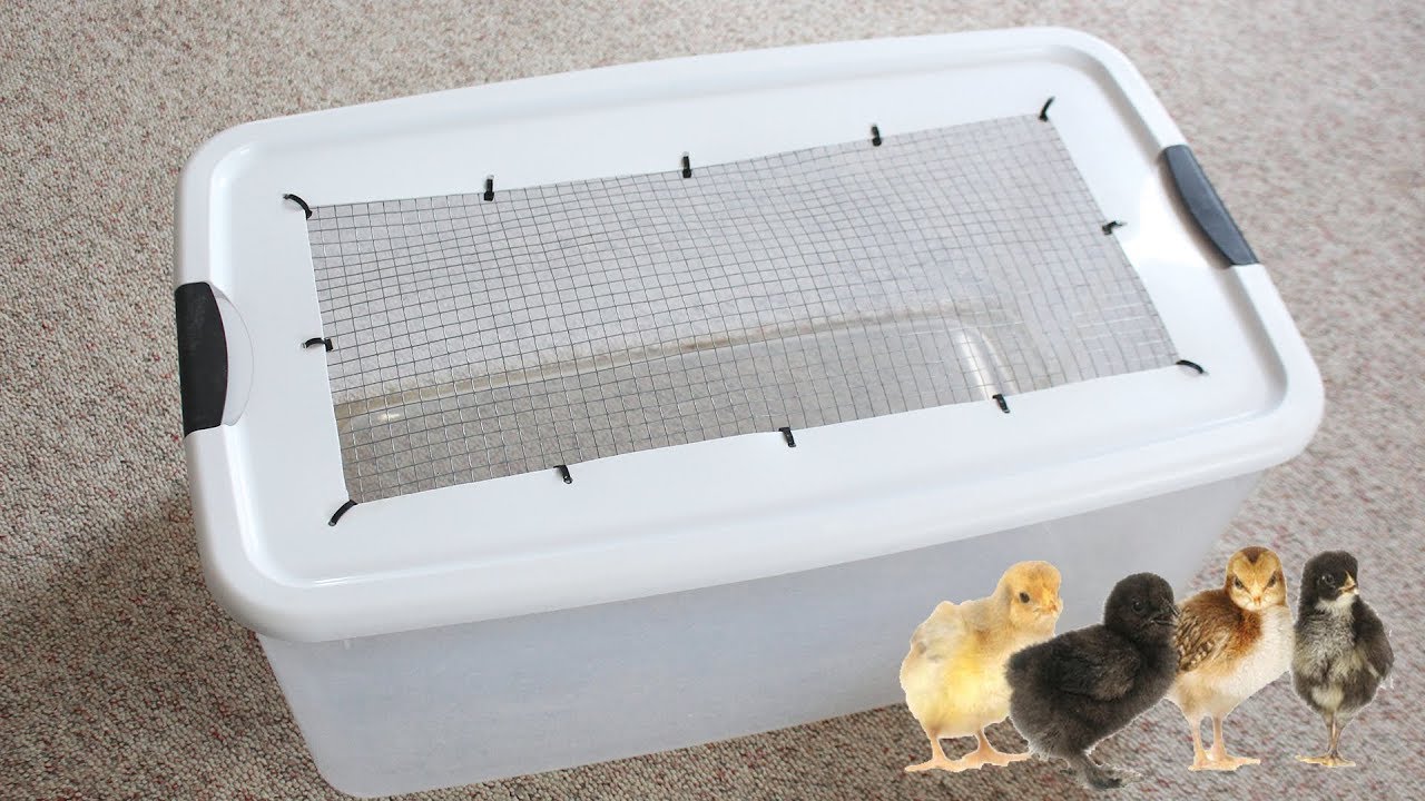 DIY Chick Brooder  |  Life at Cloverhill