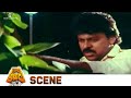 Auto Johnny Knows The Truth About Kalyan Chiranjeevi Rowdy Alludu Scene K Raghavendra Rao