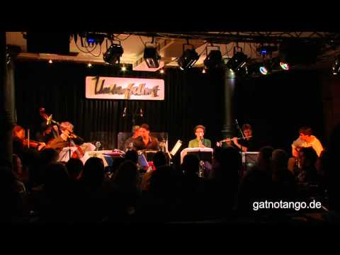 anthropogen gestörter wuchsplatz 3: entsprang