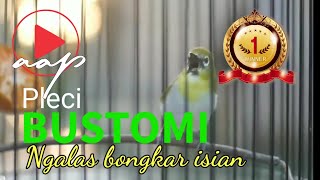 Download lagu Mastering dan Pancingan Pleci BUSTOMI agar BUKPAR nembak ngalas Isian | GACOR PARAH !!! mp3