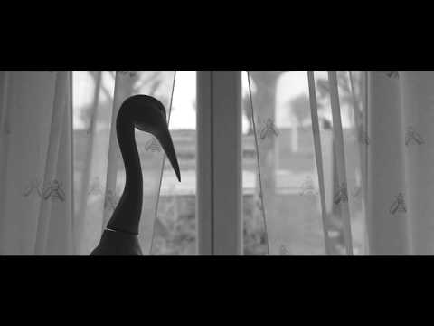 Major Lazer & DJ Snake - Lean On (feat. MØ)/Linza Cover