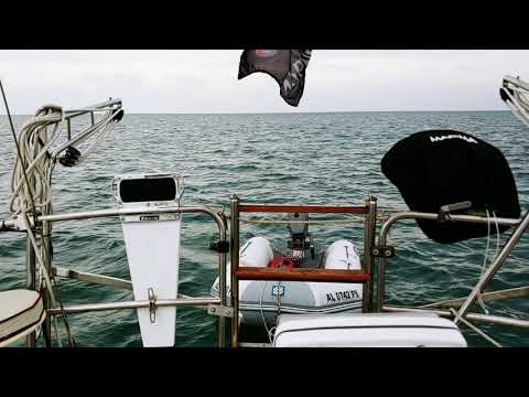 Salty Quicky #235 | On the Hook in the Florida Keys on a Sailboat