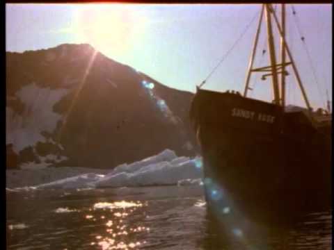 Orion's Belt Trailer