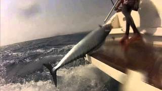 "I Love Fishing. Boavista"