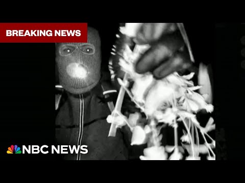 FBI releases surveillance photos of potential subject at Nancy Guthrie's door