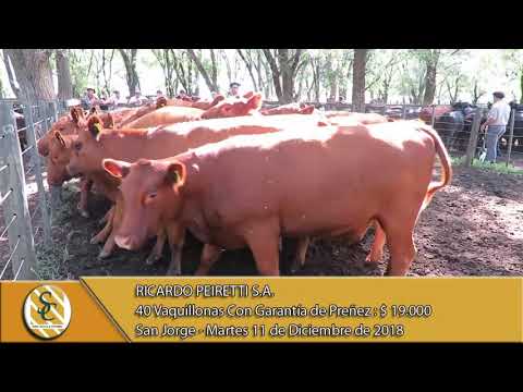 11-12-18 Venta de Vientres - Ricardo Peiretti S.A. - San Jorge