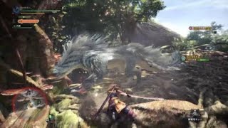 モンスターハンターワールド：アイスボーン_20201214034412
