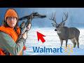 I Hunted With Walmart S Cheapest Crossbow