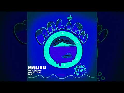 FEID x Ak4:20 x TAIKO - MALIBU (TECH HOUSE REMIX)