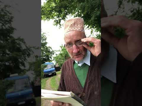 clarifications on swedish "kartell" by german linguist