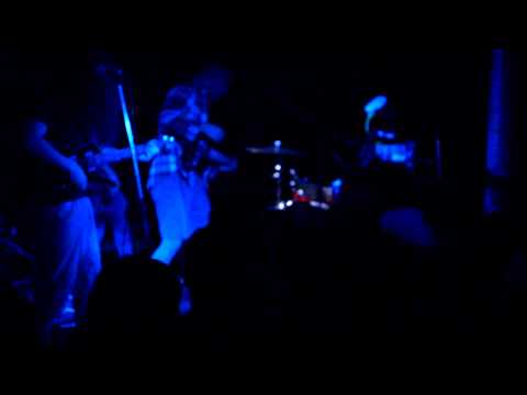 *shels - The Conference Of The Birds