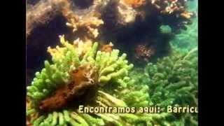 preview picture of video 'Venha conosco em um belo mergulho nos Parrachos de Maracajaú e um passeio no Ma-noa Park'