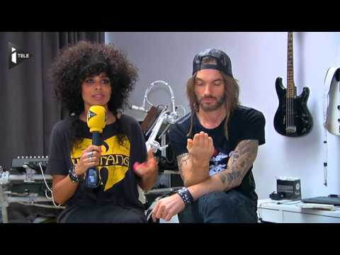 Shaka Ponk sort un DVD dont une partie des recettes ira à la fondation Nicolas Hulot