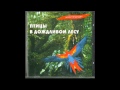 Птицы в дождливом лесу. Звуки природы без музыки. 