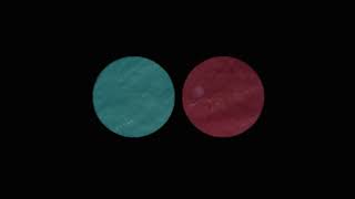 Geometrica Music Video