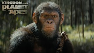 Kingdom of the Planet of the Apes | Exclusive Special Look | Experience It In IMAX®