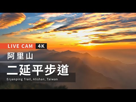 二延平步道 4K -阿里山