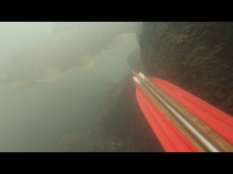 SE03EP040 - " HARAP-HARAPAN " LITERAL na GA-UNAN na KARPA DUMAAN sa MUKHA! BUNTOT palang ULAM NA!