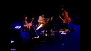 The Magnetic Fields - Boa Constrictor (Live @ Royal Festival Hall, London, 25.04.12)