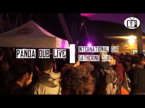 Panda Dub  - International Dub Gathering 2016