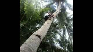 Pantai Music Video