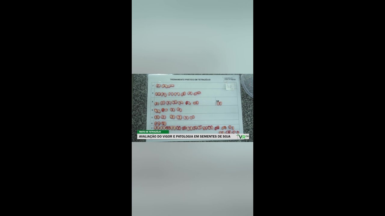 Qualidade da Semente de Soja: Do Vigor à Viabilidade Explicada