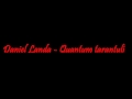 Daniel Landa - Quantum tarantulí 